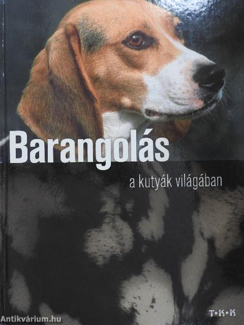 Barangolás a kutyák világában