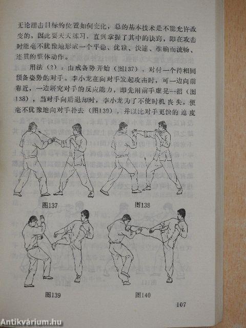 Jeet Kune Do – Bruce Lee harci kungfuja (kínai nyelvű)