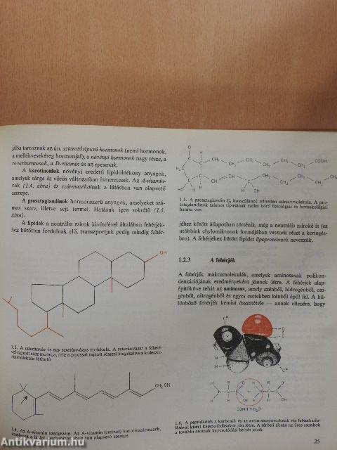 Orvosi biológia