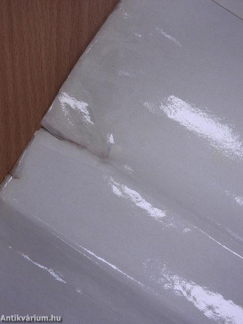 A Nagy Honvédő Háború története 4.