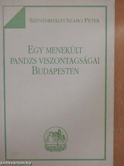 Egy menekült pandzs viszontagságai Budapesten