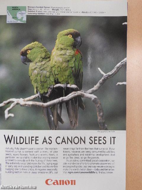 National Geographic November 2007