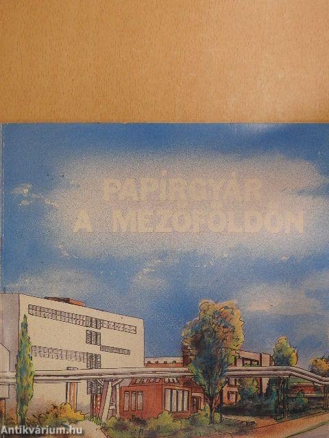 Papírgyár a mezőföldön