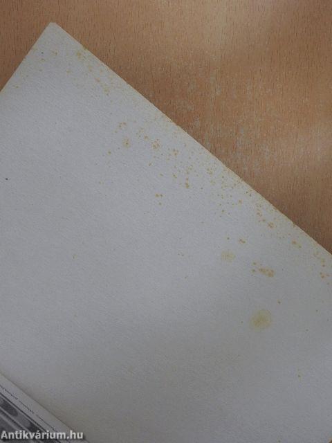 Elsüllyedt világok