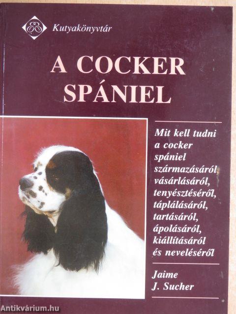 A cocker spániel