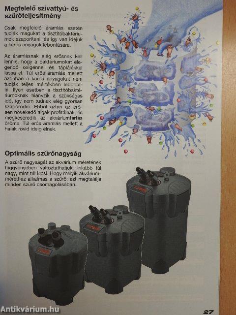 Az akvárium természethű berendezése