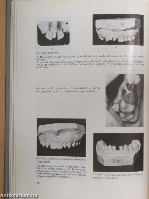 Stomatologia