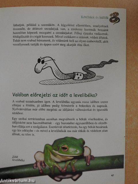 A Föld élővilága