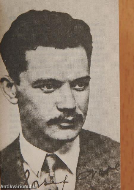 Önarckép (minikönyv)