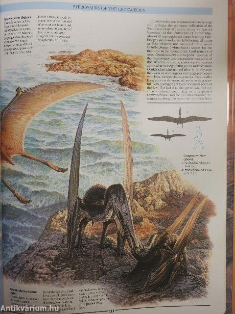 The Illustrated Encyclopedia of Pterosaurs