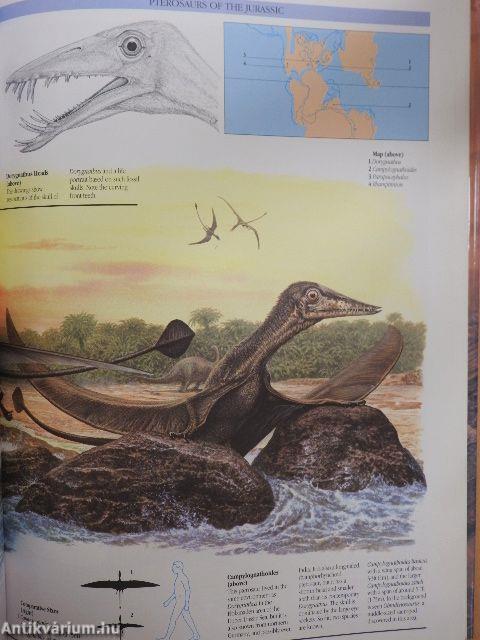 The Illustrated Encyclopedia of Pterosaurs