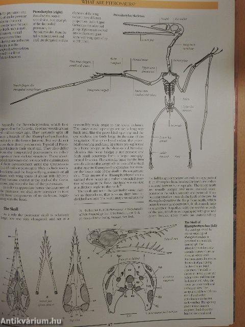 The Illustrated Encyclopedia of Pterosaurs