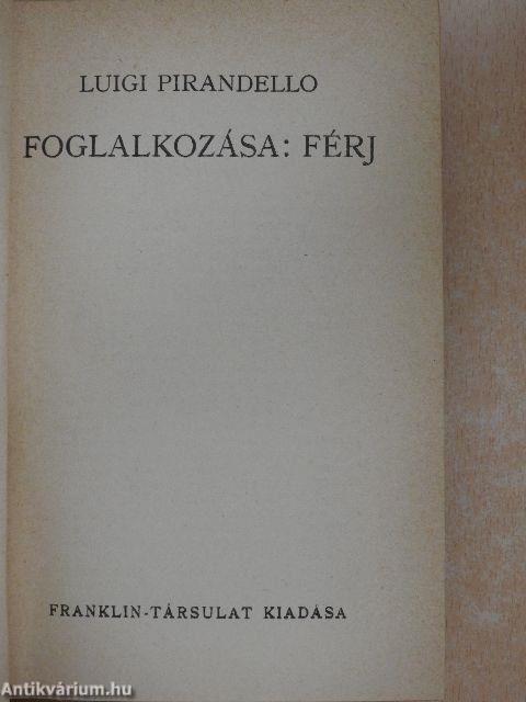 Foglalkozása: férj