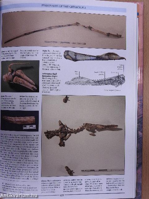 The Illustrated Encyclopedia of Pterosaurs