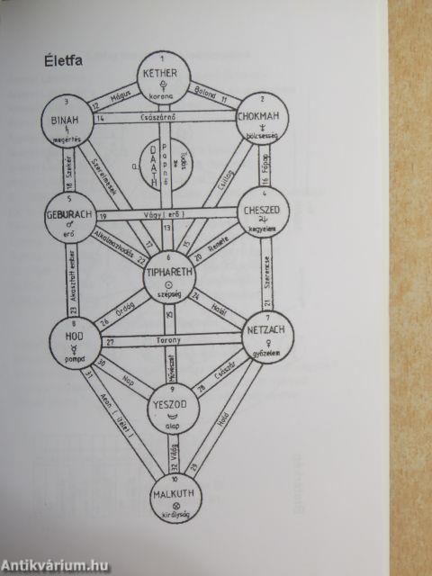 Mielőtt a kakas megszólal...