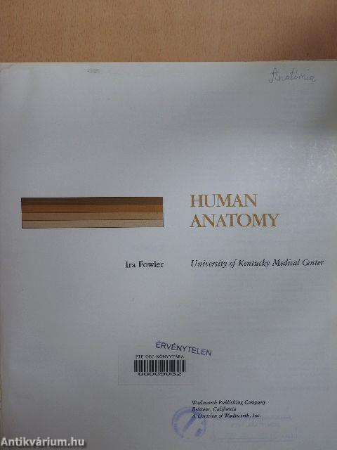 Human Anatomy