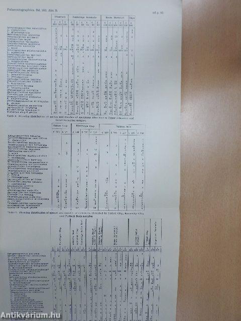 British Mesozoic Microspores and Pollen Grains