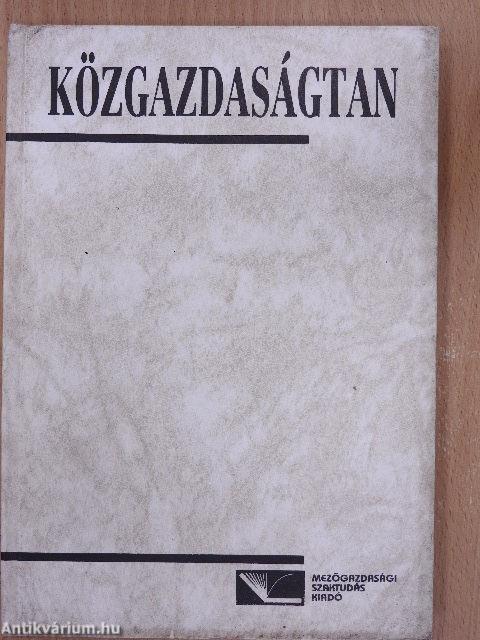 Közgazdaságtan