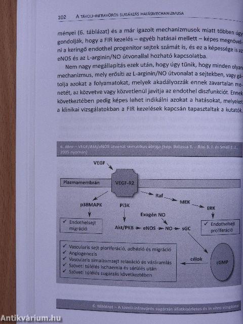 A 'FIR' hatás