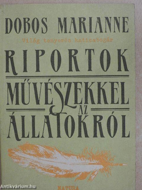 Világ tenyerén katicabogár