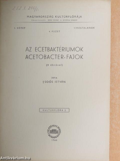 Az ecetbaktériumok/Acetobacter-fajok