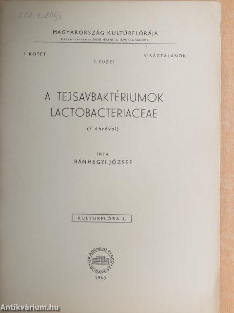 A tejsavbaktériumok/Lactobacteriaceae