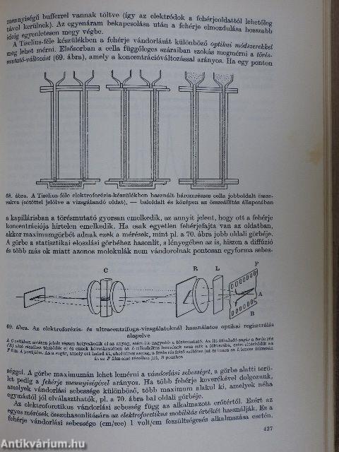 Biokémia