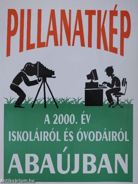 Pillanatkép