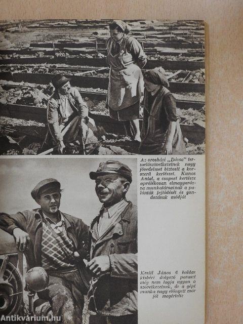 Virágzó mezőgazdaság-jómódú nép