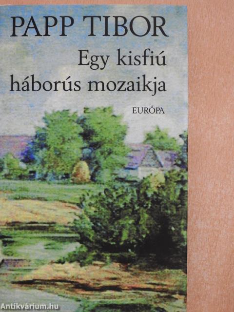 Egy kisfiú háborús mozaikja (dedikált példány)