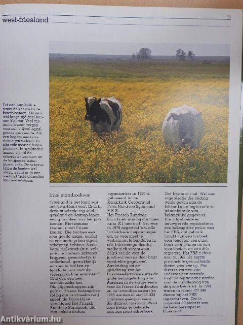 Kijk op het groene Friesland