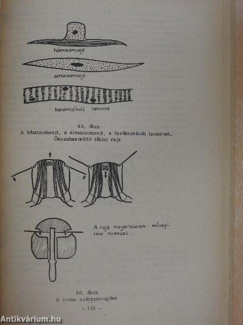 A biológia tanítása I.