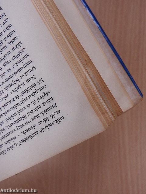 Az avantgarde támogatói