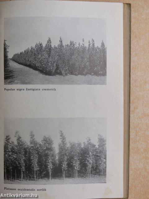 Schrikker Sándor faiskolájának árjegyzéke