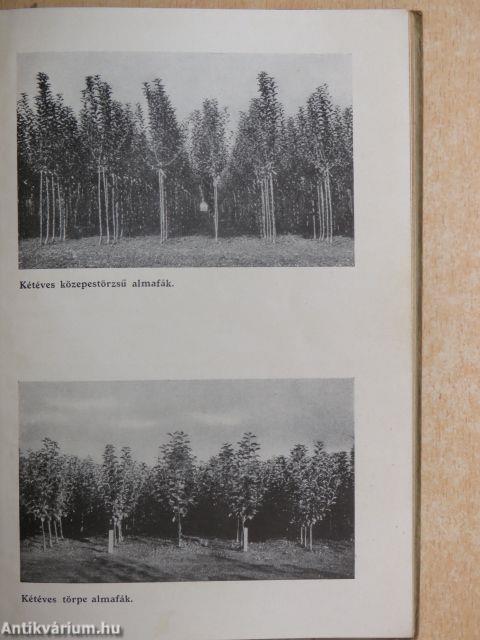 Schrikker Sándor faiskolájának árjegyzéke