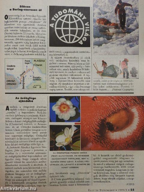 Élet és Tudomány 1999. (nem teljes évfolyam)