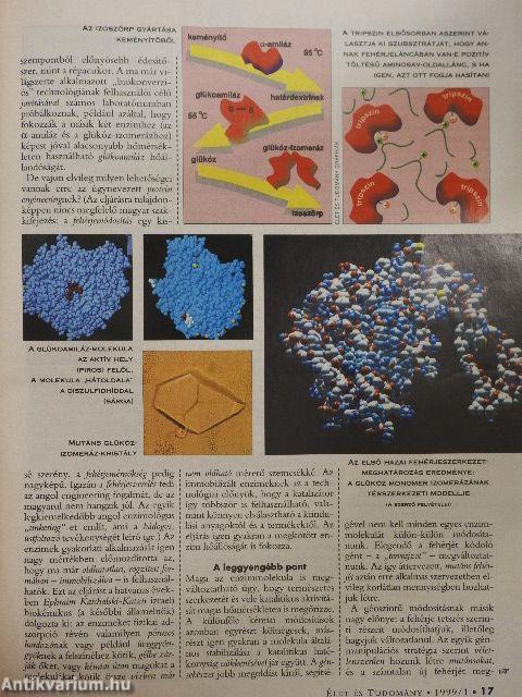 Élet és Tudomány 1999. (nem teljes évfolyam)