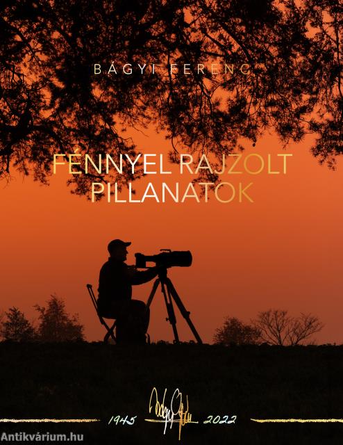 Fénnyel rajzolt pillanatok