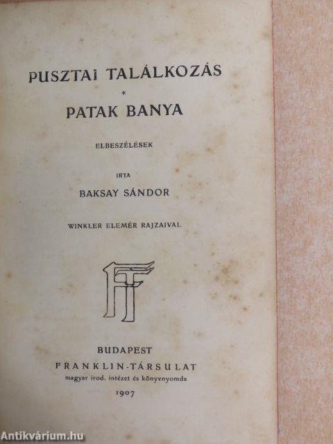 Pusztai találkozás/Patak banya