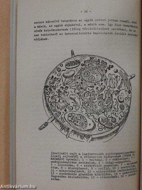 Klinikai laboratóriumi diagnosztika alapjai I.