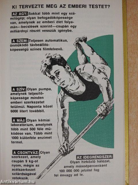 Hogyan található meg az igazi boldogság?