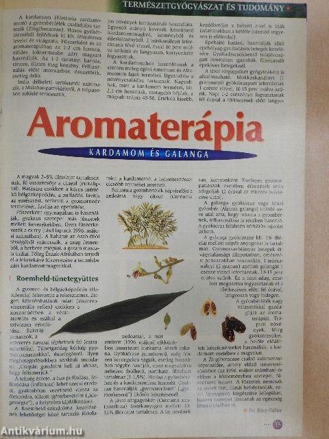 Természetgyógyász Magazin 1999. január-december