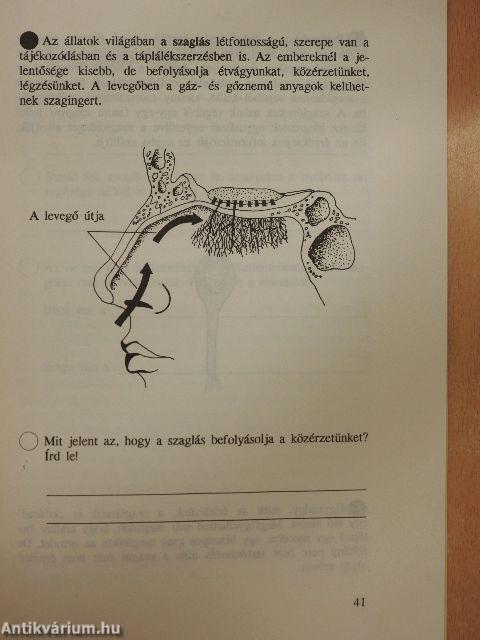 Emberismeret 3.