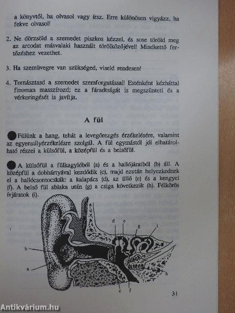 Emberismeret 3.