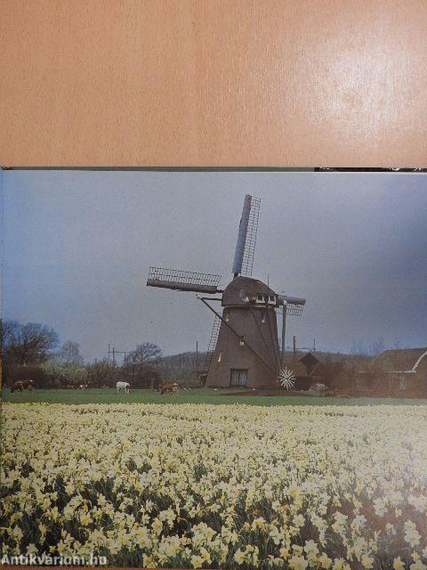 Holland