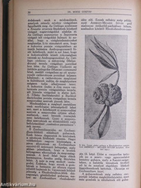 Természettudományi Közlöny 1923. január-december/Pótfüzetek a Természettudományi Közlönyhöz 1923. január-december