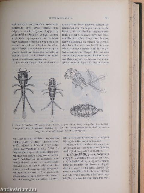 Természettudományi Közlöny 1904. január-deczember/Pótfüzetek a Természettudományi Közlönyhöz 1904. január-deczember