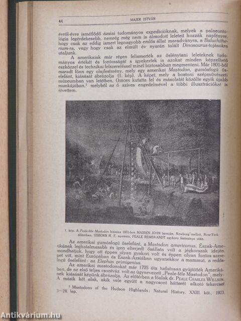 Természettudományi Közlöny 1924. január-december/Pótfüzetek a Természettudományi Közlönyhöz 1924. január-december