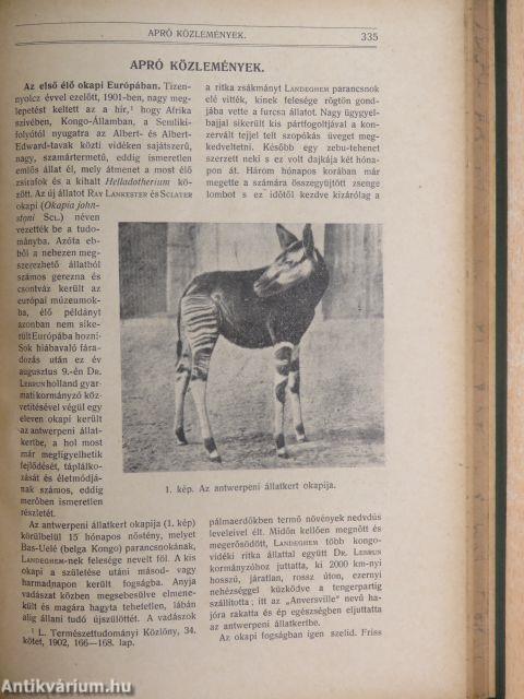 Természettudományi Közlöny 1919. január-deczember/Pótfüzetek a Természettudományi Közlönyhöz 1919. január-deczember