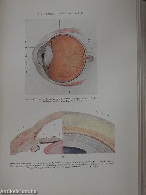 Orvosi lexikon 1-4.